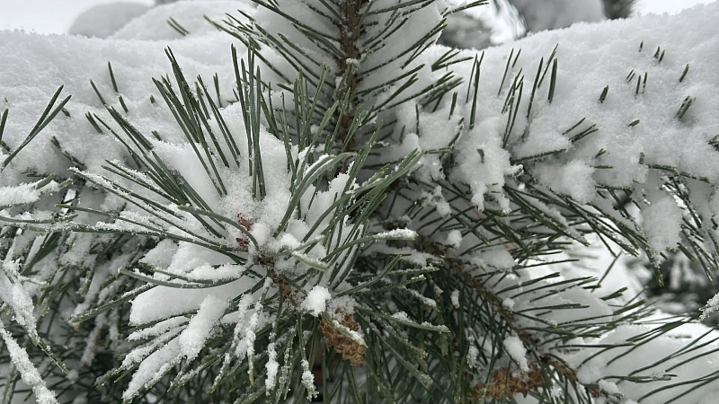 Из-за мощного циклона снова завалило снегом Петропавловск-Камчатский