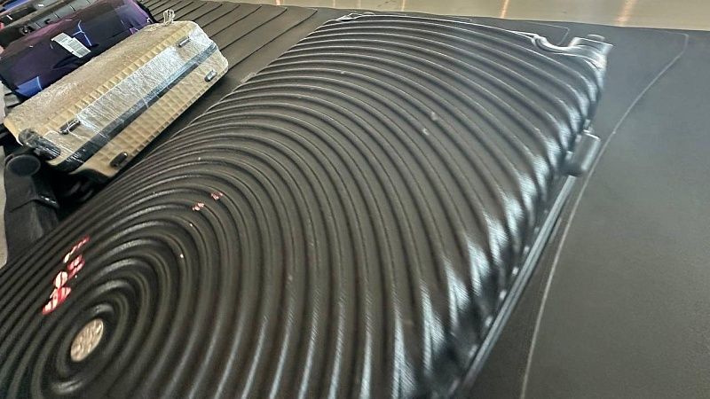 Появились фото наполненных останками убитой женщины чемоданов в Подмосковье