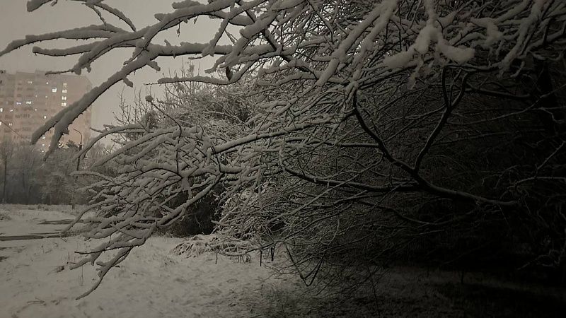 Штормовое предупреждение объявлено из-за сильных осадков и урагана в Краснодаре