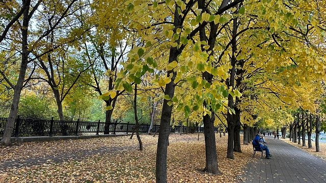 Тепло, но очень ветрено будет на Кубани 2 ноября