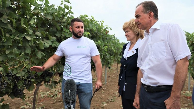 Вениамин Кондратьев посетил виноградники и центр энологии в Темрюкском районе