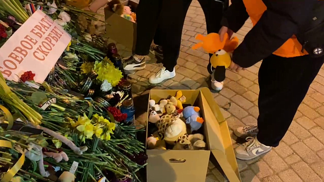 Игрушки с краснодарского мемориала жертвам теракта в «Крокусе» передадут детям