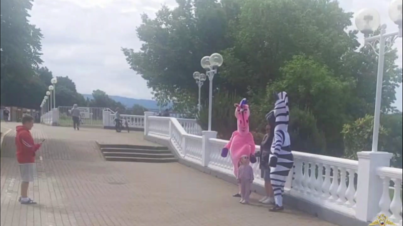 Зебру и единорога задержали за незаконные фотосессии в Геленджике