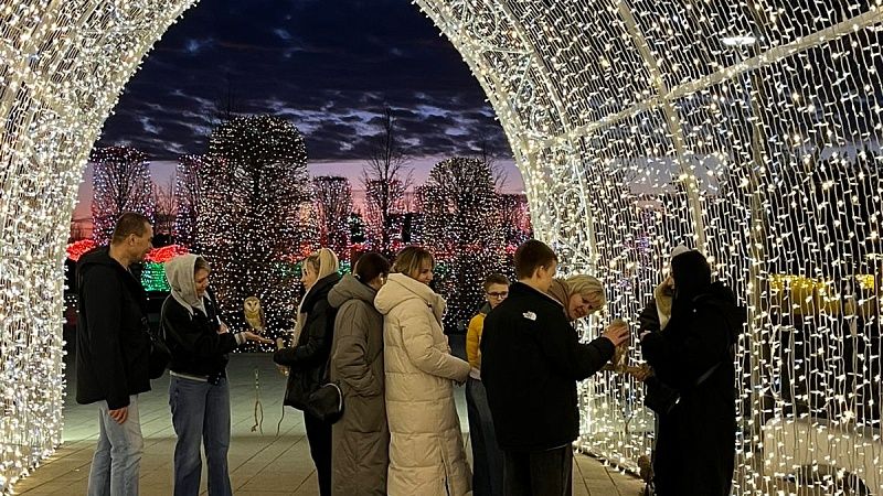 Фотоживодеров с совами краснодарцы заметили в «Парке Облаков»