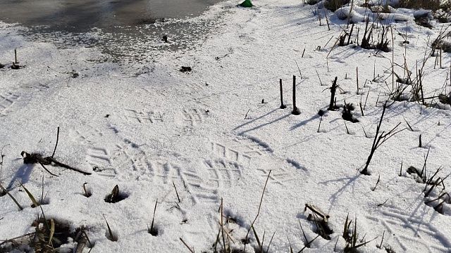 Юрист Конецкий рассказал, как получить компенсацию при падении на льду