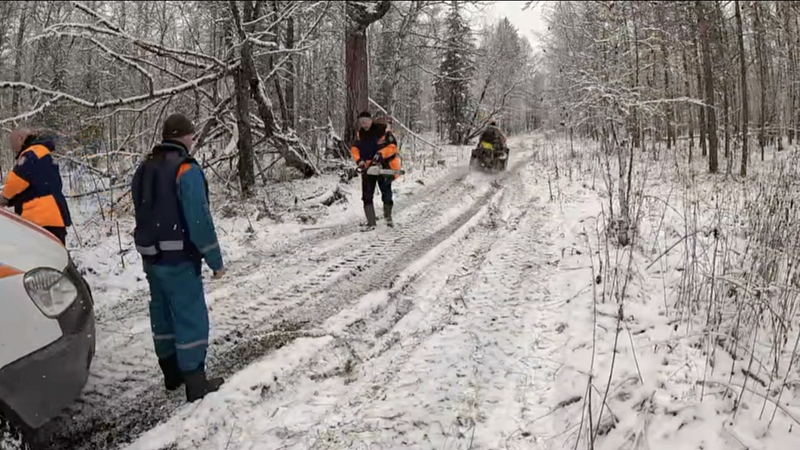 К поискам пропавшей семьи привлекли более 350 человек в Красноярском крае