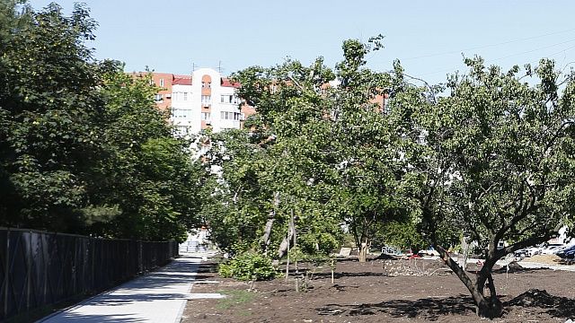 Специалисты объяснили, почему спилили деревья в Рождественском парке Краснодара