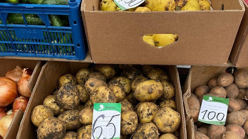 Власти взяли на контроль цены на ярмарках Сочи