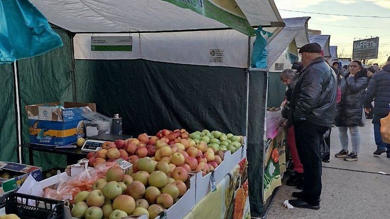 Традиционные ярмарки выходного дня откроются по 8 адресам в Краснодаре