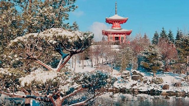 Японский сад встретил первую зиму. Фото: телеканал «Краснодар»