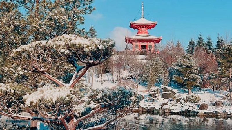 Первая зима в Японском саду. Фоторепортаж