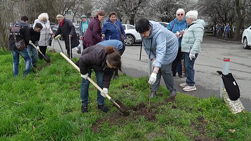 У карасунских озер стало чище, первоклассники посадили деревья, турнир по «Дота-2». Новости 27 марта