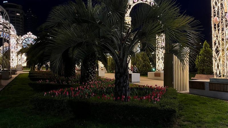 Метеорологи спрогнозировали аномально теплую весну в Сочи