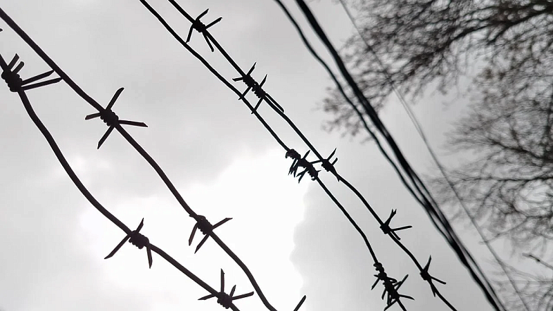 Подросток из США задушил и изнасиловал сестру в круизном путешествии по Карибам