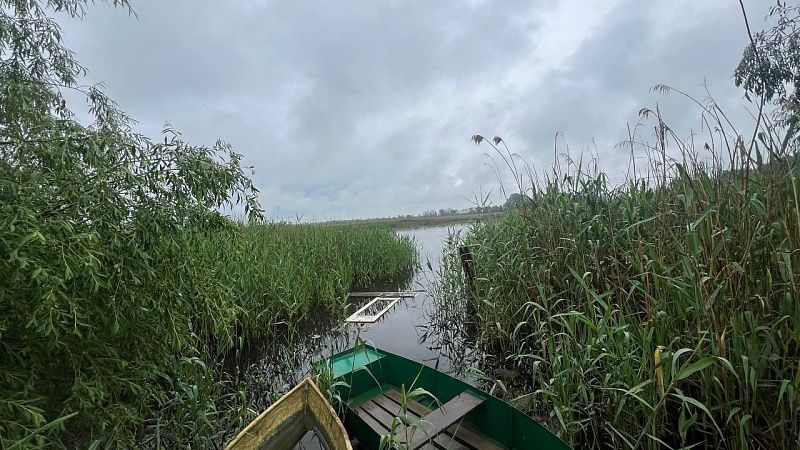 Девочка погибла на озере, попав в винты яхты пьяного водителя в США
