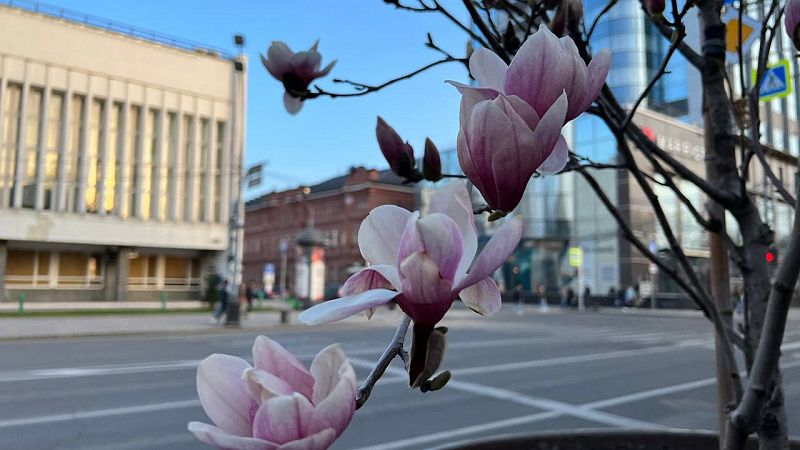 В субботу в Краснодаре будет солнечно, в воскресенье ожидается гроза