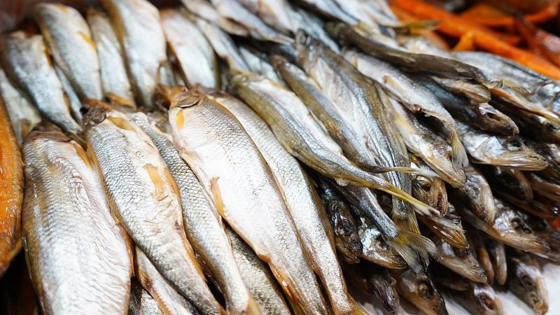 Оперштаб Кубани опроверг сообщения о «грязной рыбе» из Черного моря