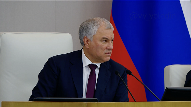 Фото: t.me/vv_volodin