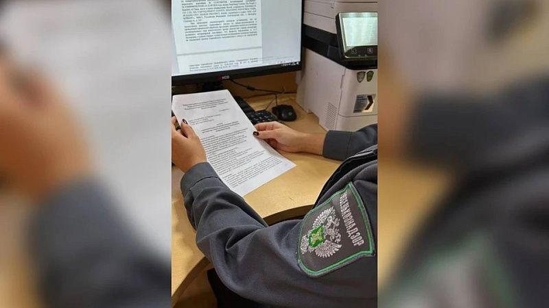 Партию кормовой добавки из Китая в 100 тонн задержали в Новороссийске