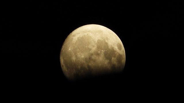 Фото: телеканал «Краснодар»