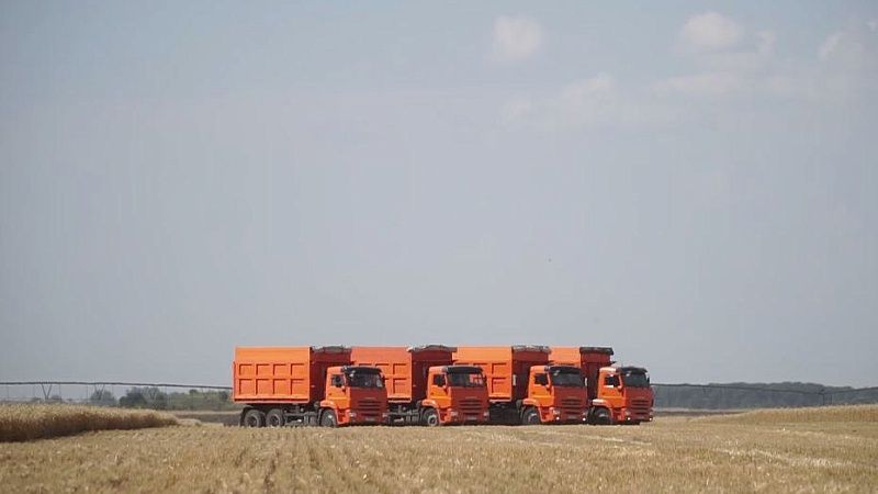 Из-за засухи ввели режим ЧС в девяти районах Краснодарского края