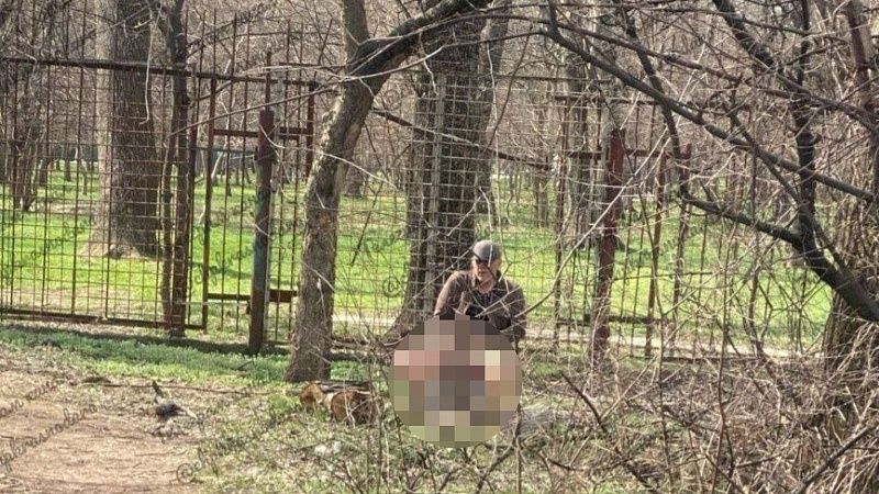 Задержан мужчина за непристойное поведение в Чистяковской роще Краснодара