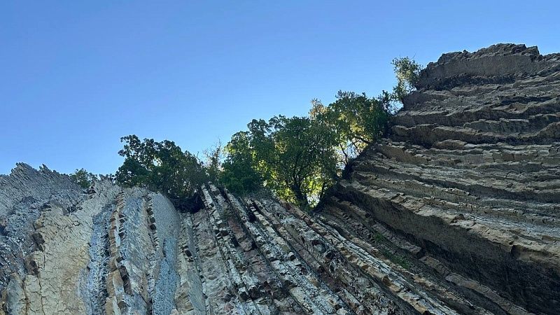 Писатель из России погиб после падения с дерева на краю скалы в Черногории