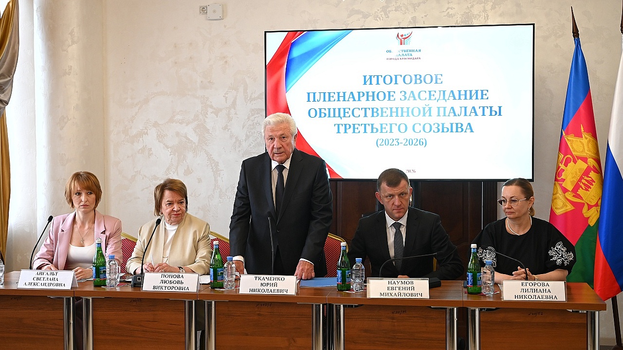 Экспертным фильтром решений назвал Наумов Общественную палату Краснодара