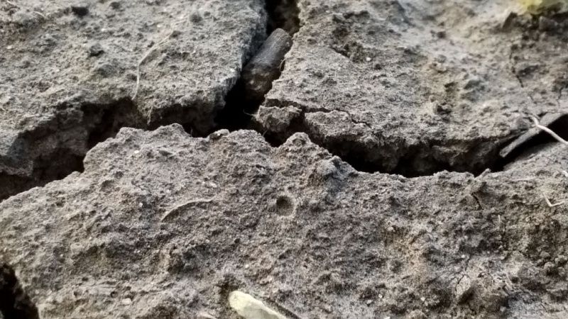 Из космоса зафиксировали проседание до 23 см в год столицы Мексики