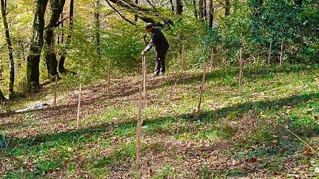 Фото: Сочинский национальный парк