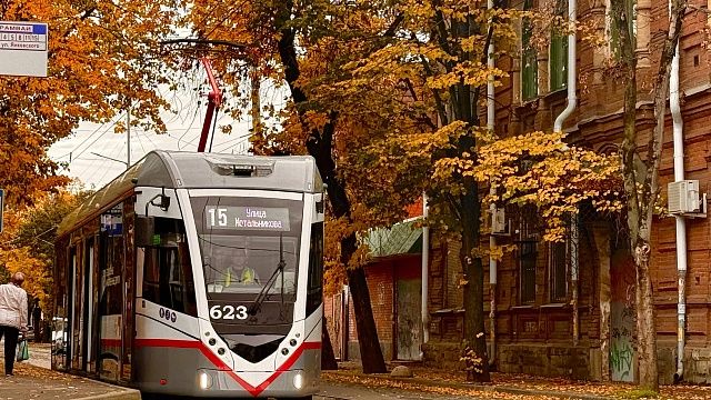 Фото: телеканал «Краснодар»