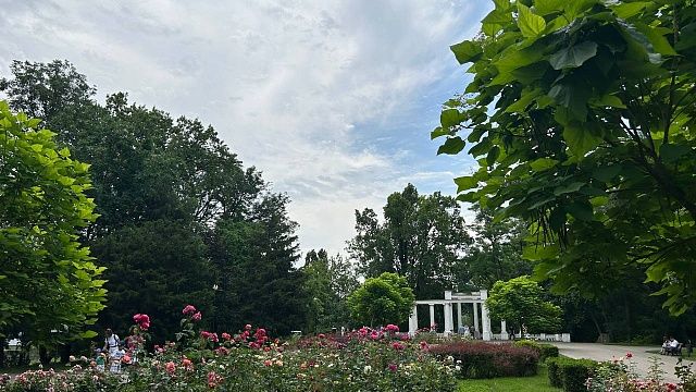 Городской сад Краснодара отметит 175-летие. Фото: телеканал "Краснодар" (архив) 