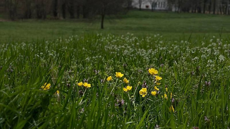 Похолодание до +9 градусов ожидается в Краснодаре 8 апреля