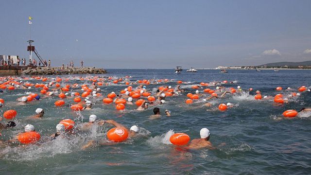Впервые за два года в Геленджике состоится массовый заплыв «Морская миля» Фото: Пресс-служба администрации Геленджика