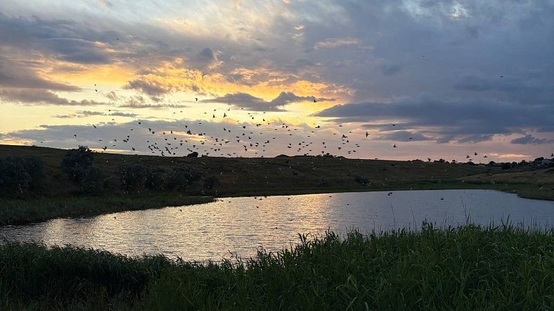 Три человека утонули за сутки в водоемах Кубани