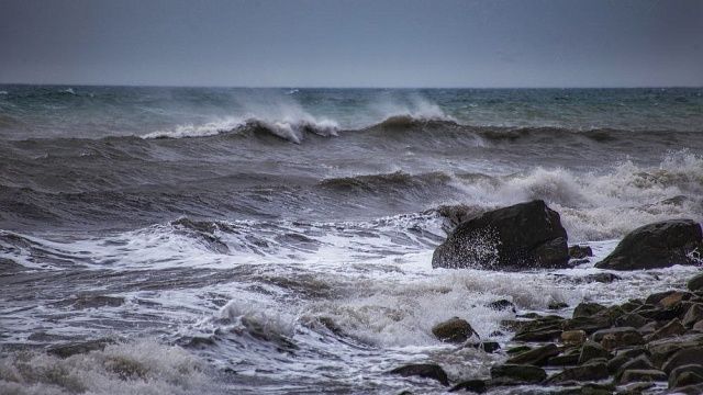 Фото: Павел Сагайдак