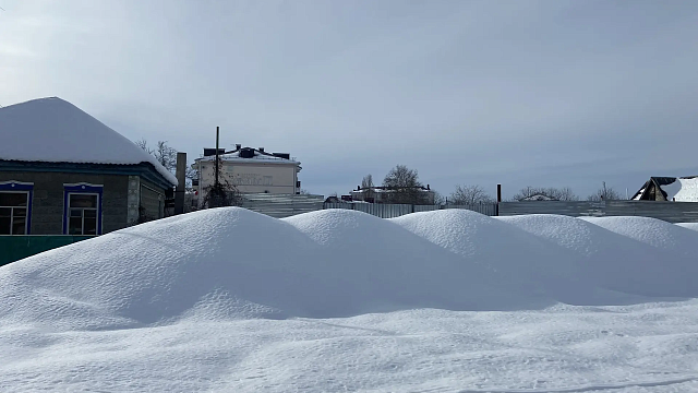 Фото: телеканал «Краснодар»