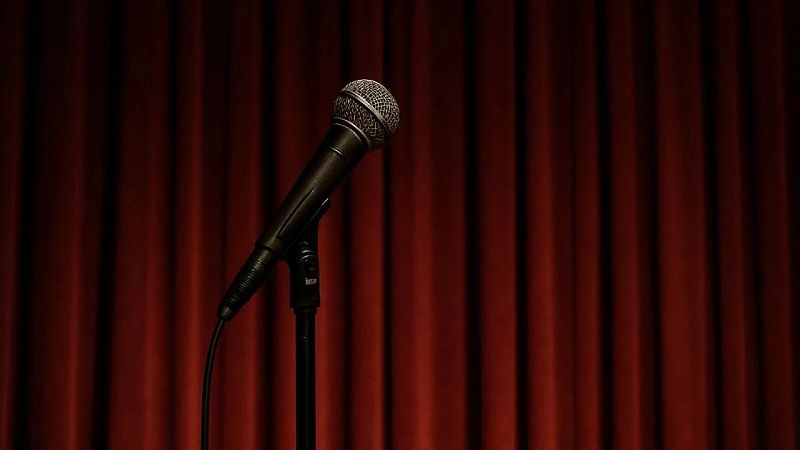 Вакансия музы с зарплатой в 100 тысяч рублей появилась в России