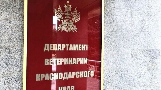 Фото: пресс-служба администрации Краснодарского края