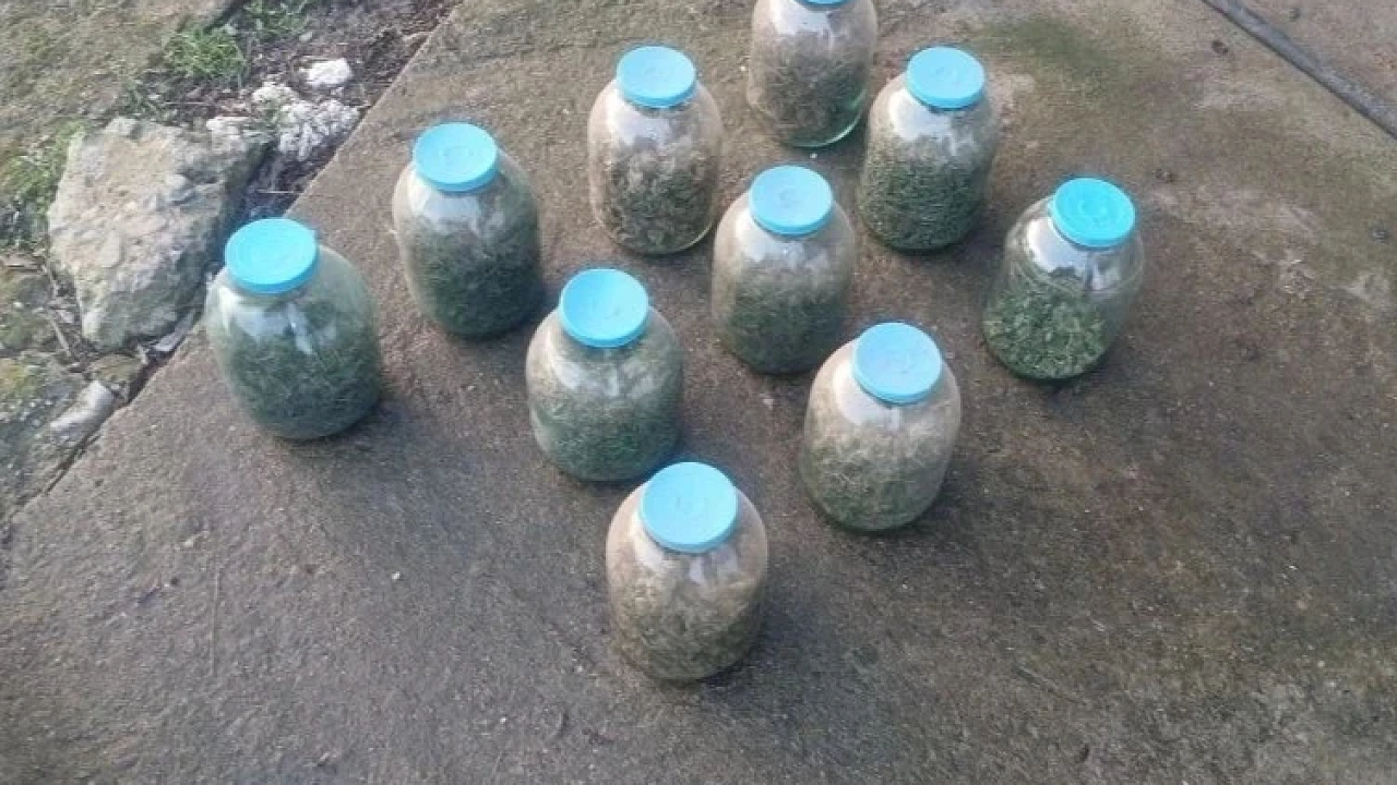 За изготовление и хранение в трехлитровых банках марихуаны осудят жителя Кубани