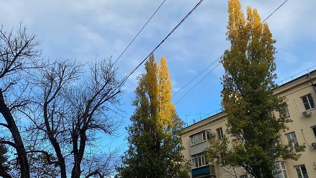Ветер и временные осадки в Краснодаре сохранятся 28 ноября