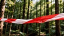 Мать погибшей девочки этапируют для допроса из Новосибирска в Ачинск