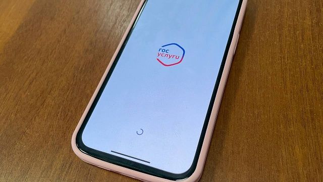 Масштабную DDoS-атаку на «Госуслуги» начали хакеры за пределами России