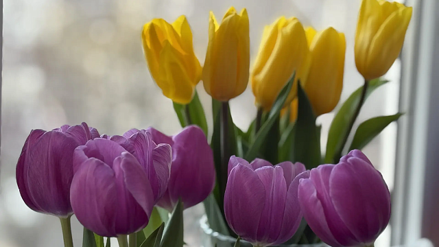 Фото: телеканал «Краснодар»