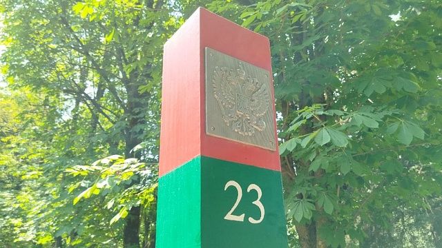 Фото: телеканал «Краснодар»