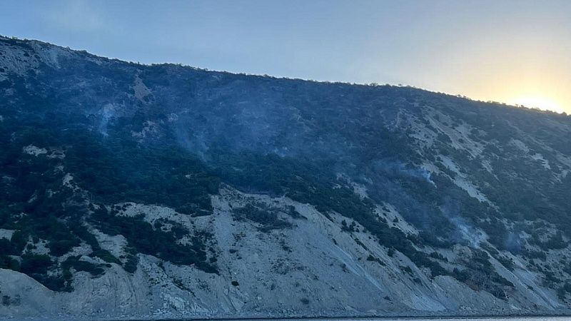 Спустя сутки спасателям удалось локализовать лесной пожар под Анапой