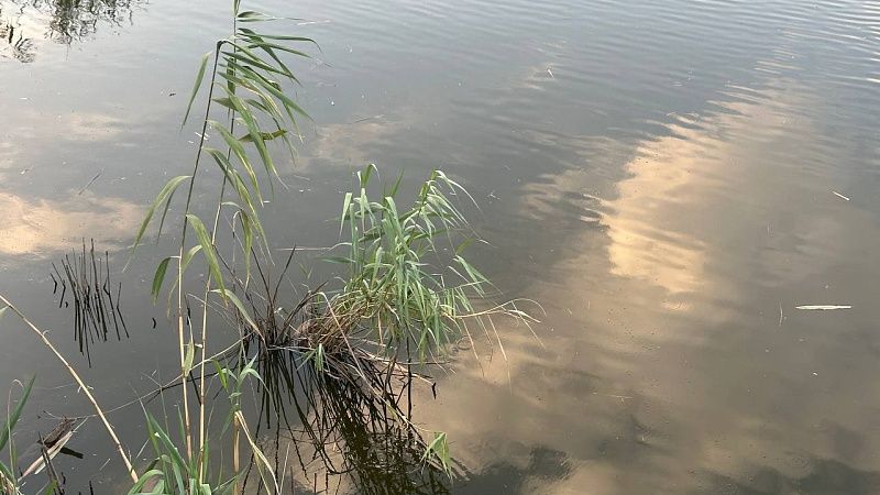 Рыбак 45-минут боролся с огромной меч-рыбой и накормил 70 человек в США