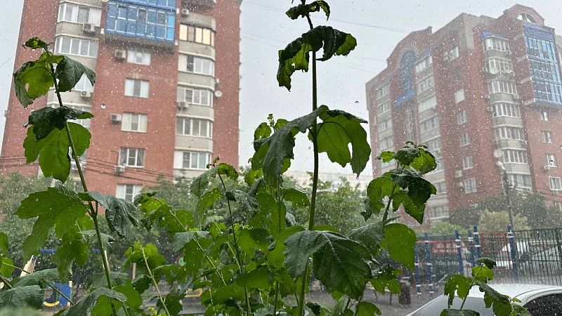 Град и сильный дождь обрушились на Краснодар