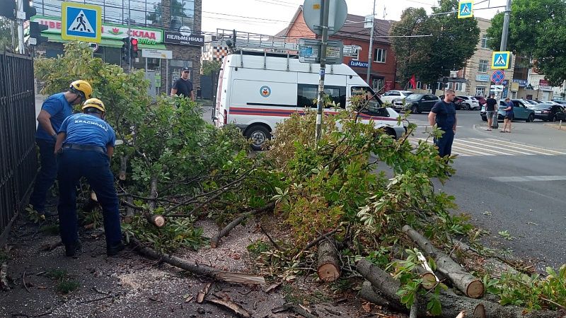 Городская Служба спасения Краснодара отработала 91 заявку за прошлую неделю