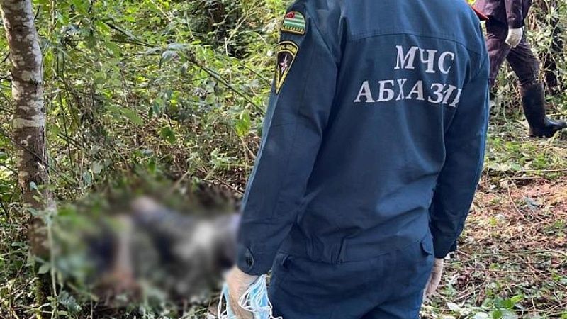 Пропавшего после ссоры с женой российского туриста нашли мертвым в Абхазии
